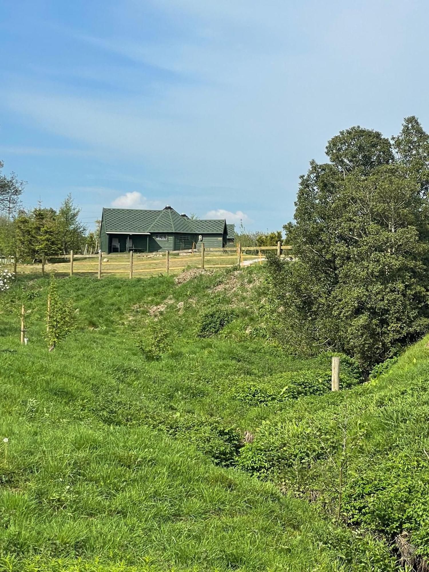Holly Tree Glamping Cabins Wigglesworth Eksteriør bilde